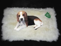 DELUXE NATURAL EXTRA LARGE SHEEPSKIN BED & COMFORT RUGS FOR DOGS