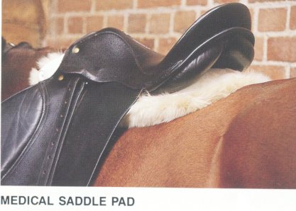 MEDICAL SADDLE SHEEPSKIN PAD : $120